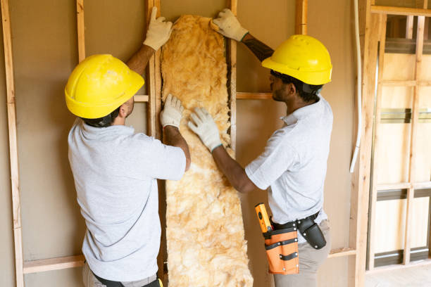 Professional Insulation Removal & Installation in Lakeside, FL